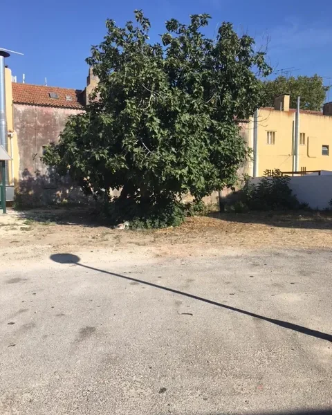 Edifício Para Reabilitar Lumiar