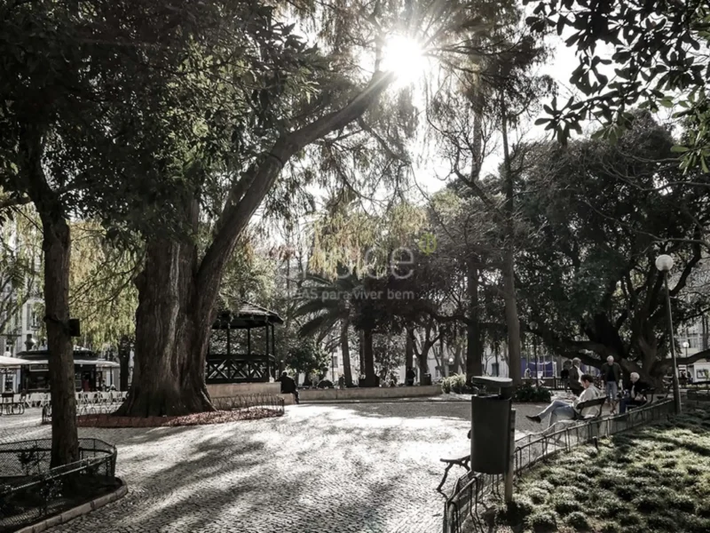 Apartamento T0 Studio, Campo de Ourique
