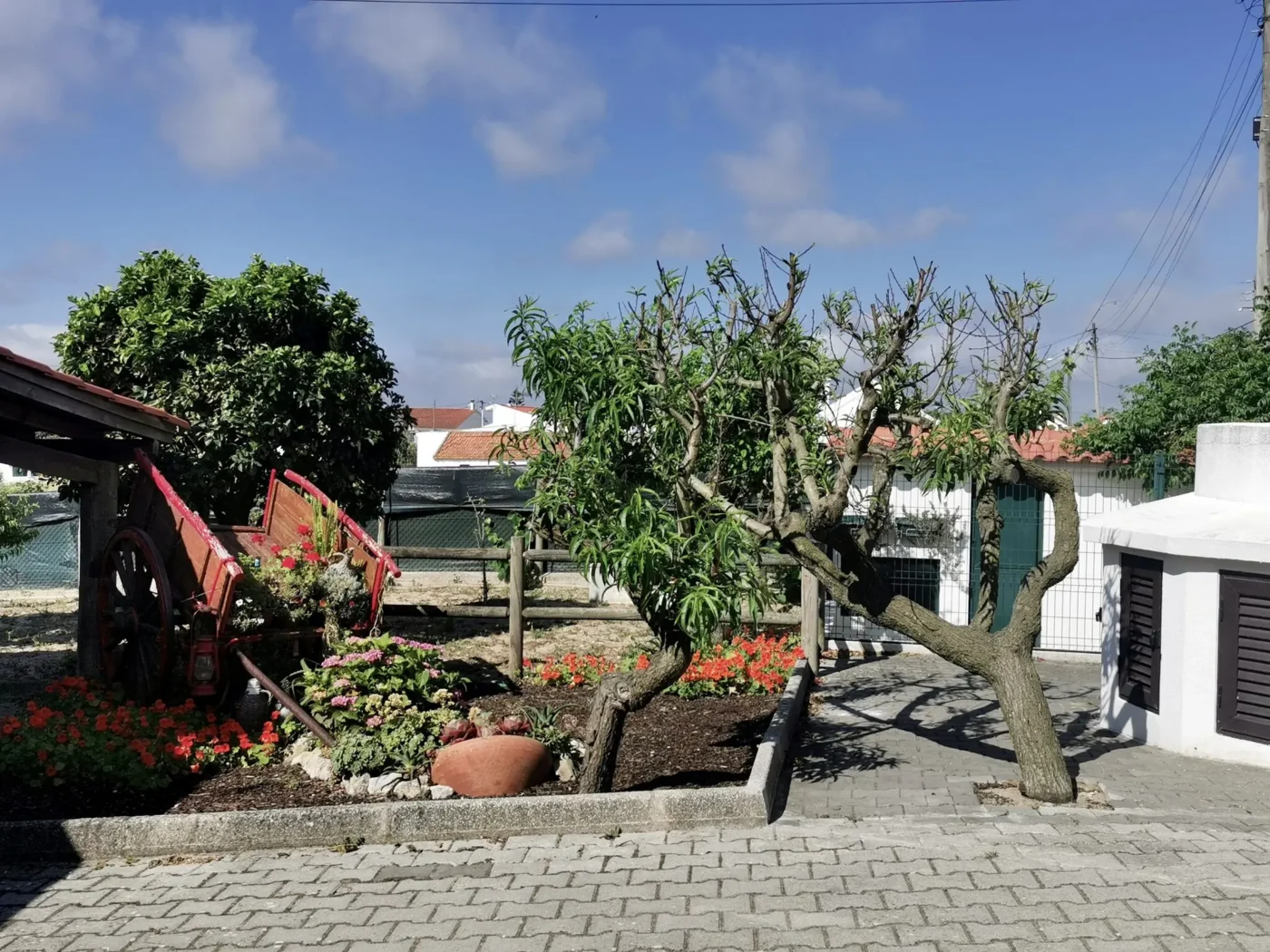 Fantástica Quinta T6 em Aveiras de Cima — foto 5
