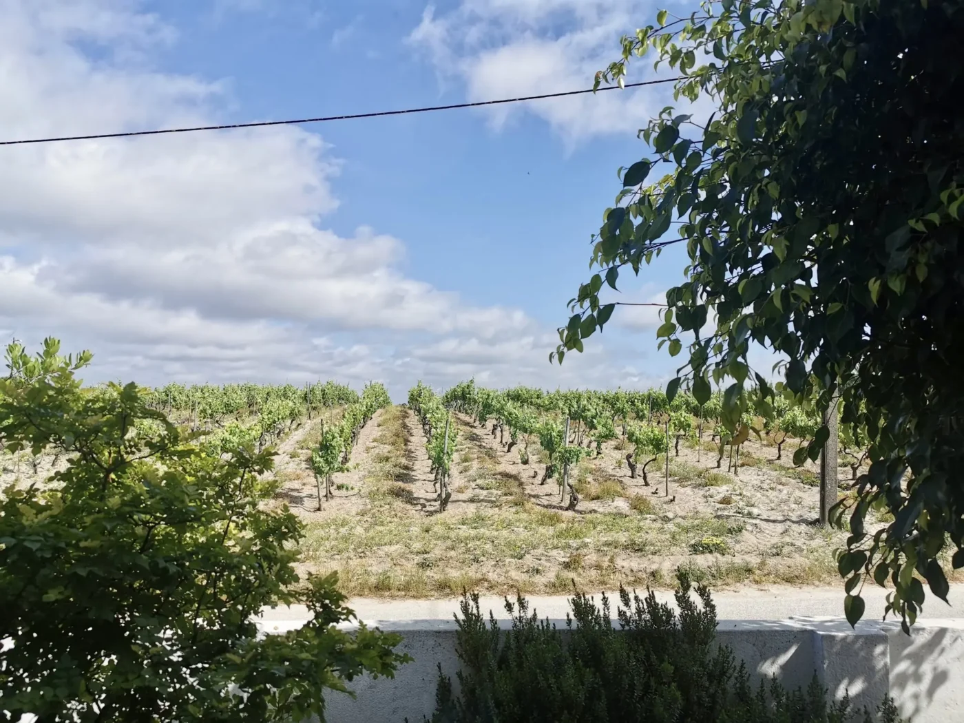 Fantástica Quinta T6 em Aveiras de Cima — foto 43