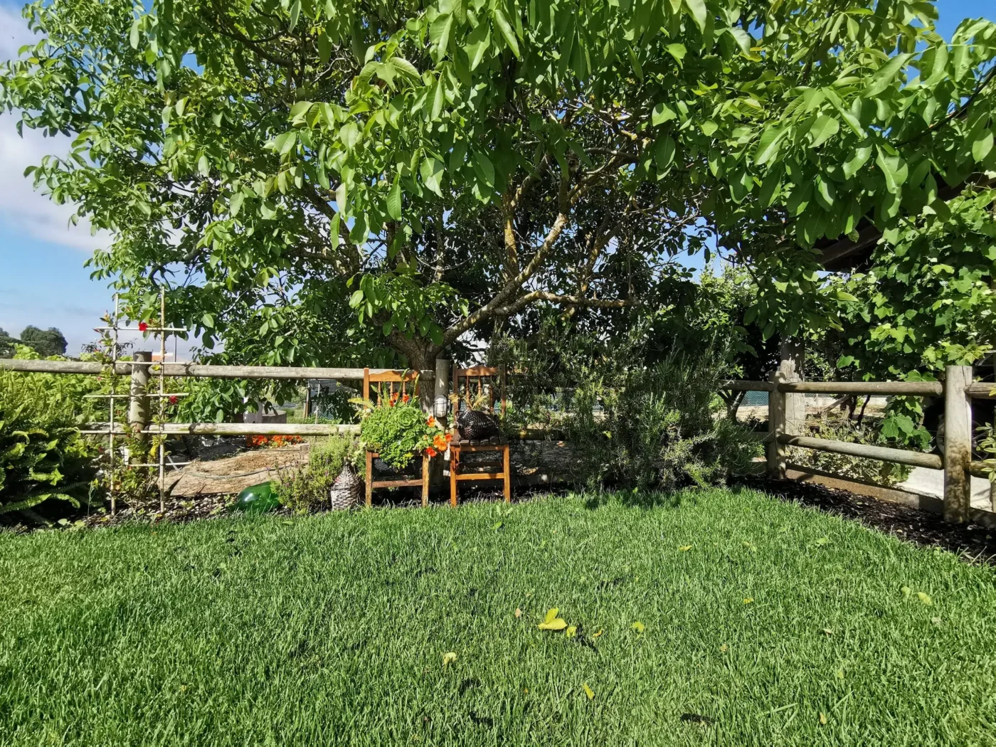 Fantástica Quinta T6 em Aveiras de Cima — foto 74